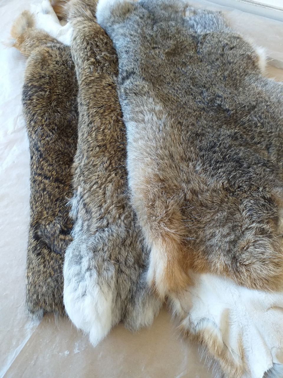 Rabbit furs